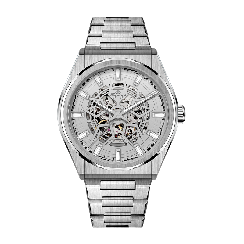 ساعت مچی مردانه اتوماتیک مدل  SA8219